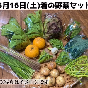 5月16日着　旬の野菜セット　80or100サイズ