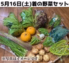 5月16日着　旬の野菜セット　80or100サイズ