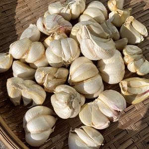 バラ【低農薬】和歌山M'sファームで採れた乾燥新にんにく　1㎏・5㎏選べます。