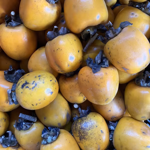 干し柿用渋柿、栽培期間中、農薬、化学肥料不使用　ダンボールの重さ込2kg以内