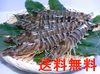 【送料無料！超お買得】甘い・美味い　天草産活締め冷凍車海老！！