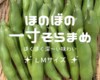 ★4月下旬発送★朝穫れ！ＬMサイズ 「そら豆（さや付き）」