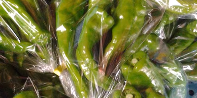 “絶対という量が確約できない難しさ”