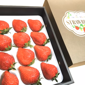 【ギフトBOX】 特選完熟いちご 大12～15粒×1パック 