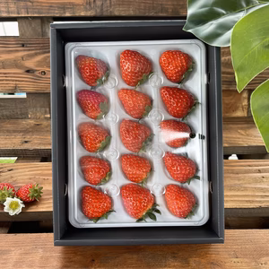 厳選15粒入り　新鮮朝採りいちご　ゆりかーごAタイプ