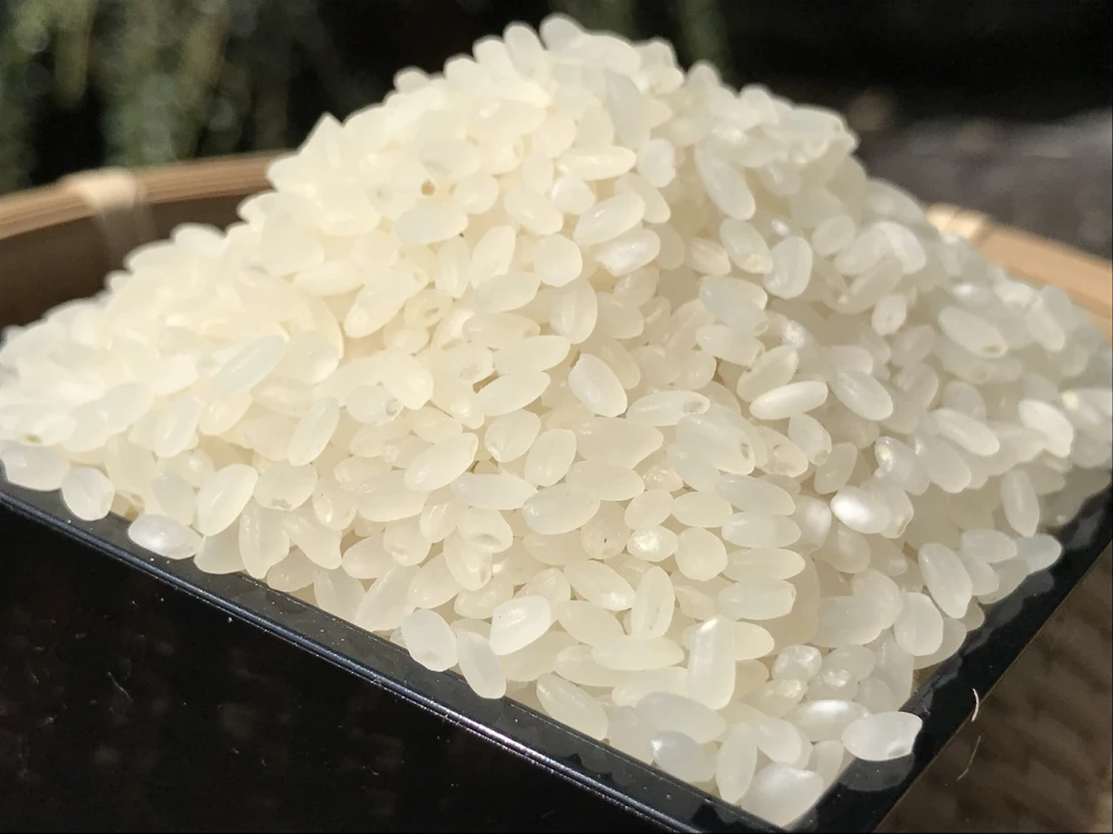 【出来たぜ新米！】特別栽培米ひとめぼれ 精米10kg Ｒ5年度産