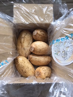 みんなの投稿の画像