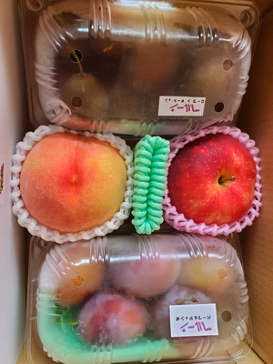 みんなの投稿の画像