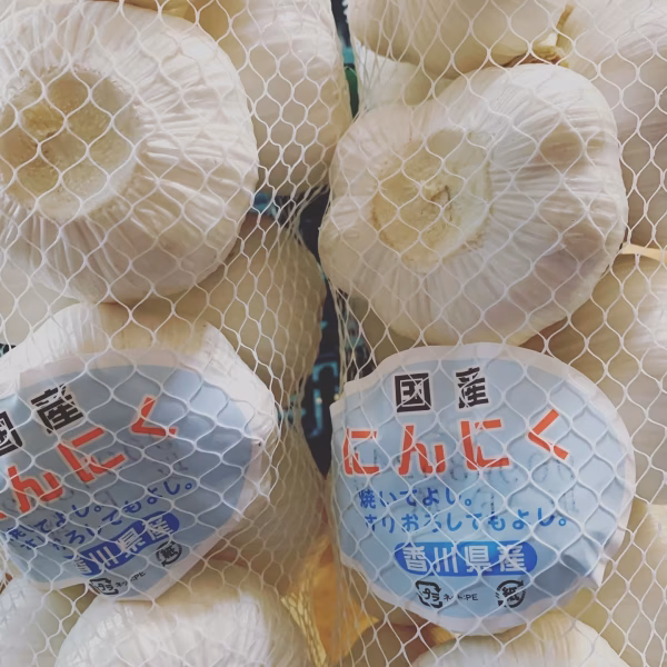 採れたて！幻の生にんにく1kg ＊4月下旬発送【SAKAVEGE】