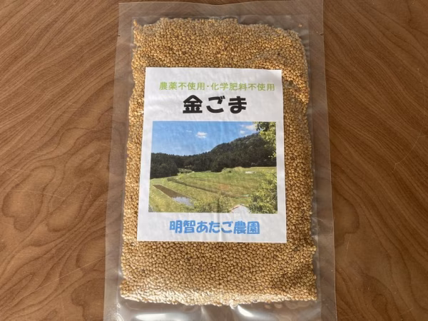 【金ごま】（生・洗いごま）農薬不使用・化学肥料不使用　令和5年　岐阜県産