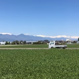 宮嶋康晴 | 信州きらめき菜園