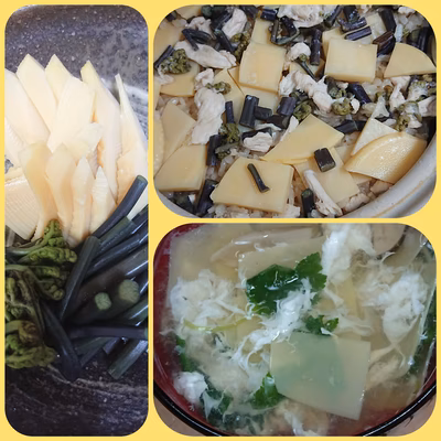 みんなの投稿の画像