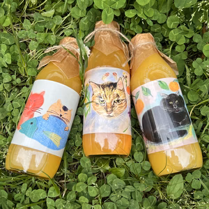 【農薬不使用】ねこ農園ジュースセット【青島／八朔／ネーブル】