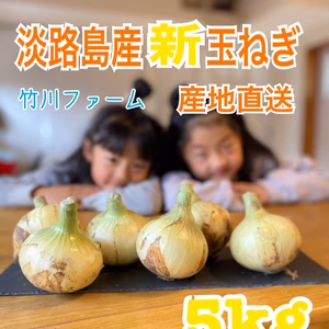 新玉令和4年淡路島産　早生新玉ねぎ 品種　七宝　5キロ