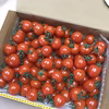 【川上農園】ミニトマト 1kg ◾️品種選択可◾️（宅急便コンパクト発送）