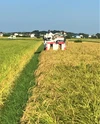 令和4年産【白米】もっちり甘いコシヒカリ『タモじぃー米』