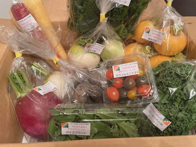 みんなの投稿の画像