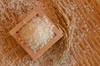 令和4年産・特別栽培米コシヒカリ【精米20kg】有機低農薬(80％削減）