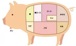 【フードロス訳あり品】カレーシチュー適品 半端肉詰合せ約2ｋg ×2個