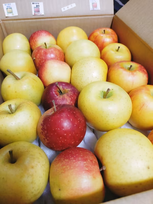 みんなの投稿の画像