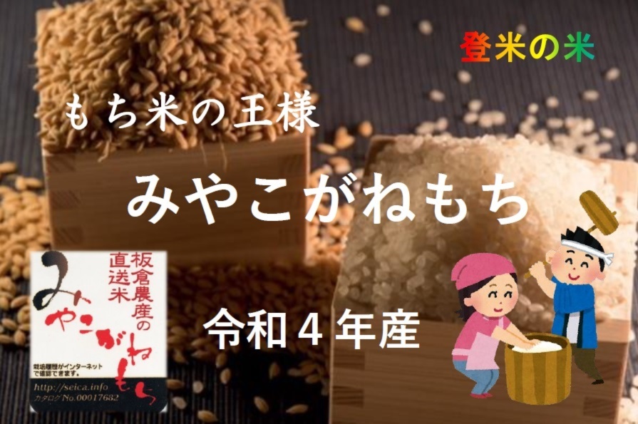 宮城が誇る「もち米」5年産【みやこがねもち】｜米・穀類の商品詳細