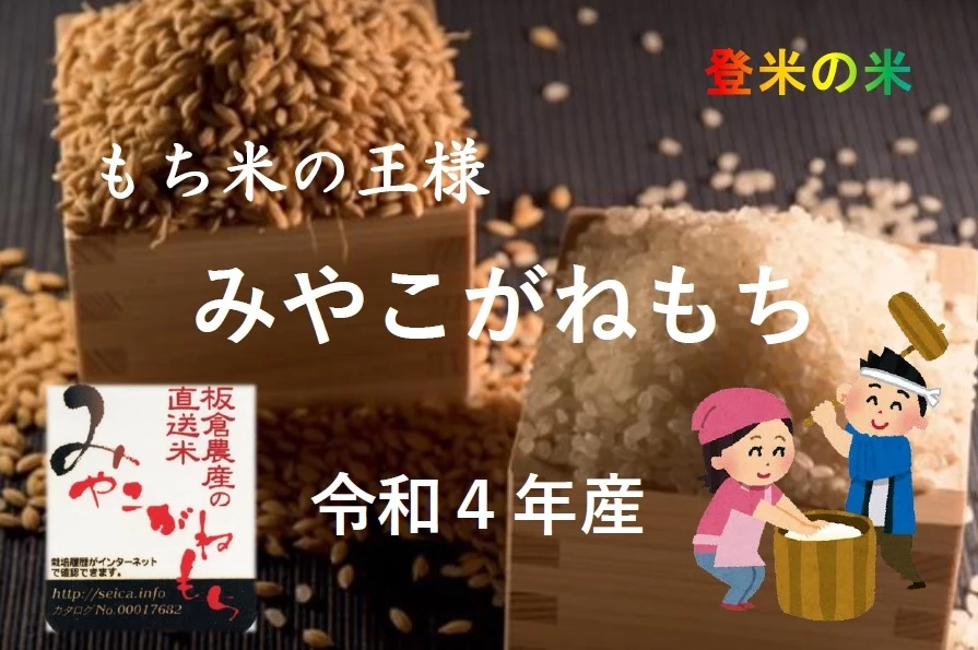 宮城が誇る「もち米」４年産【みやこがねもち】｜米・穀類の商品詳細