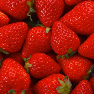 朝採れ、完熟収穫いちご　まりひめ