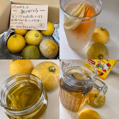 みんなの投稿の画像