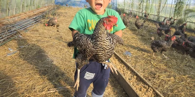 卵はニワトリが一生懸命産んだ命