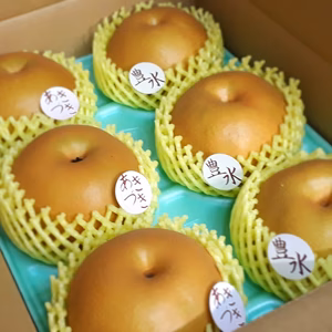 S-HA3 贈答用 「あきづき.豊水」食べ比べ3㎏