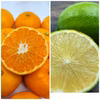 ゲリラセールみかん　と　レモン　人気2種セット