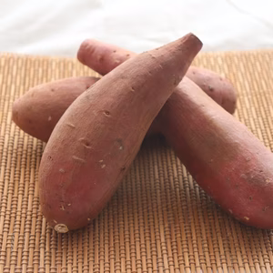 【宮崎発】熟成2ヶ月シルクスイート 5.0kg  サイズ混合