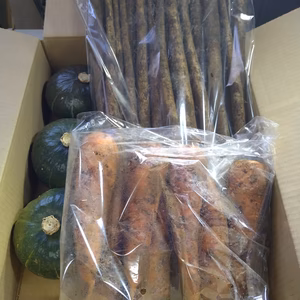 掘りたて新鮮❗北海道産ごぼう(太さ色々2㎏)人参1㎏ミニかぼちゃ3個