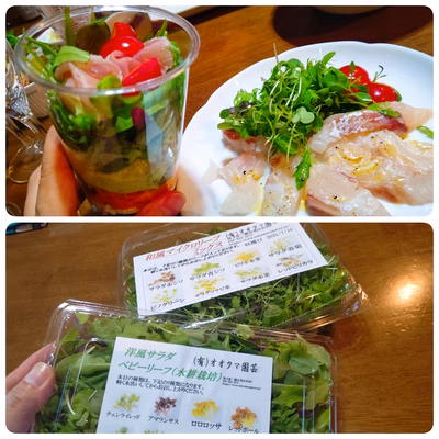 みんなの投稿の画像