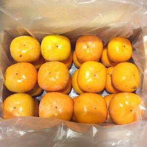 東条産の甘いシブヌキ柿
