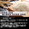 【山形県産】慣行栽培米 はえぬき 岩魚米 （白米5kg 令和４年産）
