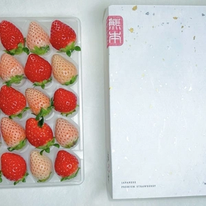 熊本産 雅乃苺 赤いちご 淡雪 紅白セット-250g 