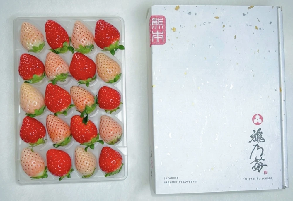 熊本産 雅乃苺 赤いちご 淡雪 紅白セット-250g ｜果物の商品詳細
