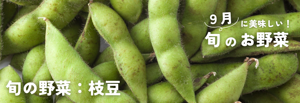 ９月に旬の野菜 枝豆