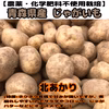 ※お買得【農薬・化学肥料不使用栽培】2024年産　青森県産 超小粒　北あかり
