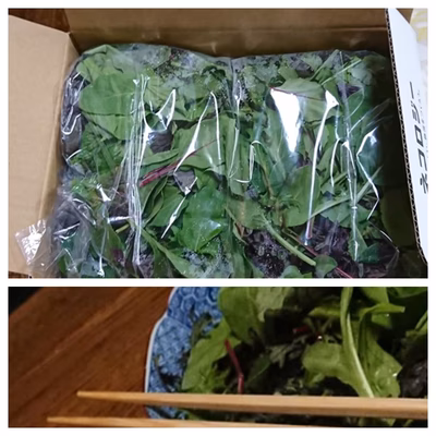 みんなの投稿の画像