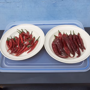 味くらべ乾燥唐辛子(2023年新物)お試しセット❣