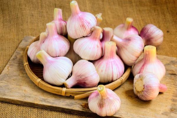 今が旬！新紫にんにく（栽培期間中農薬・化学肥料不使用）