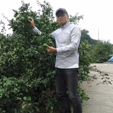 桐野 直 | ㈱瀬戸内ゆうき農場