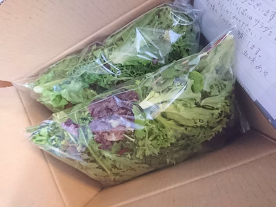 みんなの投稿の画像