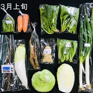 3月のオーガニック野菜セット（　常温便　）
