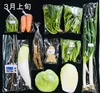 3月のオーガニック野菜セット（　常温便　）