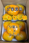 ※送料無料※≪柳フルーツ園≫訳ありたねなし柿(ご家庭用)