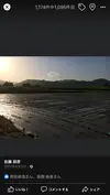 果樹農家が作ったコシヒカリ30キロ玄米