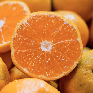 【送料無料】愛媛みかんの老舗厳選『極早生みかん』愛媛県川上産